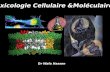 Toxicologie Cellulaire &Moléculaire Dr Wafa Hassen.