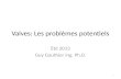 Valves: Les problèmes potentiels Été 2013 Guy Gauthier ing. Ph.D. 1.