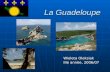 La Guadeloupe Wioleta Oleksiak IIIe annèe, 2006/07.