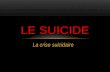 La crise suicidaire LE SUICIDE PLAN: LA DEFINITION DU MOT SUICIDE QUELLE TYPE DE SUICIDE COMPRENDRE POUQUOI SE SUICIDE TON ? LES CAUSES DU SUICIDE? LES.