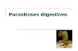 Parasitoses digestives. Classification Protozoaires (unicellulaires) Helminthes (vers) Nématodes (vers ronds) Plathelminthes (vers plats) Trématodes (non.