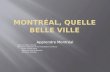 Apprendre Montréal Textes et photos Michelg Ref: Circuits pédestres de Montréal (Édition La Presse) Guide Voyage Ulysse Toponomie Ville de Montréal Patrimoine.