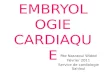 EMBRYOLOGIE CARDIAQUE Rte Nasraoui Wided Février 2011 Service de cardiologie Sahloul.
