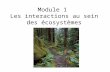 Module 1 Les interactions au sein des écosystèmes.
