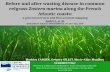 Before and after wasting disease in common eelgrass Zostera marina along the French Atlantic coasts: a general overview and first accurate mapping Godet.