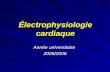 Électrophysiologie cardiaque Année universitaire 2005/2006.