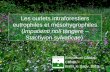 E.CATTEAU (CBNBL), 3/10/10 Les ourlets intraforestiers eutrophiles et mésohygrophiles (Impatienti noli tangere – Stachyion sylvaticae) Emmanuel Catteau.