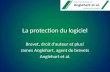 La protection du logiciel Brevet, droit dauteur et plus! James Anglehart, agent de brevets /Anglehart et al.