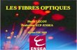LES FIBRES OPTIQUES Pierre LECOY Professeur ECP /ENSEA Option ESE 2009.