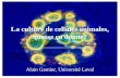 La culture de cellules animales, quosse ça donne? Alain Garnier, Université Laval.