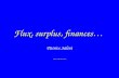 Flux, surplus, finances… Patrice Salini Octobre 2000-Mars 2003.