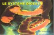 LE SYSTÈME DIGESTIF Gilles Bourbonnais. LE SYSTÈME DIGESTIF 1. Les caractéristiques générales Nourriture et digestion Les organes du système digestif.