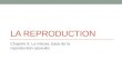 LA REPRODUCTION Chapitre 5: La mitose, base de la reproduction asexuée.