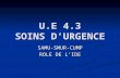 U.E 4.3 SOINS DURGENCE SAMU-SMUR-CUMP ROLE DE LIDE.