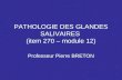 PATHOLOGIE DES GLANDES SALIVAIRES (item 270 – module 12) Professeur Pierre BRETON.