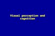 Visual perception and cognition. Kolinsky, Morais & Verhaeghe, 1994 E match -+ C mismatch -+