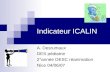 Indicateur ICALIN A. Desrumaux DES pédiatrie 2°année DESC réanimation Nice 04/06/07.
