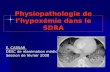 Physiopathologie de lhypoxémie dans le SDRA E. CASSAR DESC de réanimation médicale Session de février 2008.