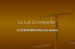 La Loi Criminelle La Criminalité Chez Les Jeunes.