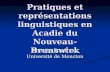 Pratiques et représentations linguistiques en Acadie du Nouveau-Brunswick Annette Boudreau Université de Moncton.