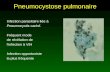 Pneumocystose pulmonaire Infection parasitaire liée à Pneumocystis carinii. Fréquent mode de révélation de linfection à VIH Infection opportuniste la plus.