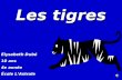 Les tigres Élysabeth Dubé 10 ans 4e année École LAstrale.