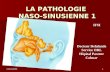 23/03/2009nez sinus 11 LA PATHOLOGIE NASO-SINUSIENNE 1 Docteur Delalande Service ORL Hôpital Pasteur Colmar IFSI.