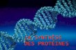 LA SYNTHÈSE DES PROTÉINES. I- La transcription Information génétique : dans le noyau (sous forme d'ADN) Synthèse des protéines : dans le cytoplasme (au.