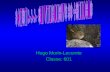 Hugo Morin-Lecomte Classe: 601 Introduction Régime alimentaire Aspect physique Reproduction Le chant Habitat Prédateurs Conclusion Résumé Bibliographie.