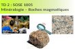 TD 2 : SOSE 1005 Minéralogie – Roches magmatiques Vervimine Minéraux.