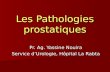 Les Pathologies prostatiques Pr. Ag. Yassine Nouira Service dUrologie, Hôpital La Rabta.