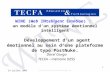 19 juillet 2005 --------------------------------- TECFA – mémoire DESS 1 WINE (Web INtelligent Emotion) : un modèle dun système émotionnel intelligent.