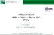 Introduction IBM – WebSphere MQ WMQ 05/2009 EQITP - MIDDLEWARE Assimilés : MQSeries, WebSphere MQ, MQ ou WMQ.