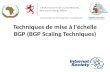 Techniques de mise à l'échelle BGP (BGP Scaling Techniques) 1.