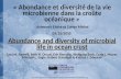 Abundance and diversity of microbial life in ocean crust « Abondance et diversité de la vie microbienne dans la croûte océanique » Ashworth Eloïse et Cohen.