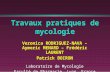 Travaux pratiques de mycologie Veronica RODRIGUEZ-NAVA – Aymeric MENARD – Frédéric LAURENT Patrick BOIRON Laboratoire de Mycologie Faculté de Pharmacie,