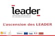 Les Leader en action(s) – 17 Novembre 2014 L’ascension des LEADER.