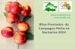 Bilan Provisoire de Campagne Pêche et Nectarine 2014  .