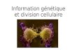 Information génétique et division cellulaire. Le caryotype au cours d’une division cellulaire.