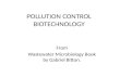 2010-10 Pollution Control Biotechnology