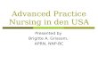Advanced Practice Nursing in den USA Presented by Brigitte A. Grissom, APRN, NNP-BC.