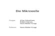 Die Mikrowelle Gruppe: Alina Vekselman, Robert Kaluza, Hans-Walter Kropp Referent: Hans-Walter Kropp.