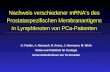 Nachweis verschiedener mRNAs des Prostataspezifischen Membranantigens in Lymphknoten von PCa-Patienten U. Fiedler, A. Manseck, R. Kranz, J. Herrmann, M.