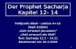 1 Der Prophet Sacharja Kapitel 12- 14 Treffpunkt Bibel - Lektion 9+10 (Heft 4/2004) Gott erneuert Jerusalem Gott erneuert die Welt Text: Sacharja 12,1.