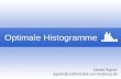 Optimale Histogramme Daniel Aigner aigner@mathematik.uni-marburg.de.
