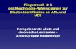 Ringversuch Nr 1 des Morphologie-Referenzpanels zur Blasten-Identifikation bei AML und MDS Kompetenznetz akute und chronische Leukämien – Arbeitsgruppe.