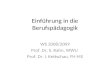 Einführung in die Berufspädagogik WS 2008/2009 Prof. Dr. S. Rahn, WWU Prof. Dr. I. Kettschau, FH MS.