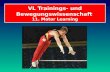 VL Trainings- und Bewegungswissenschaft 11. Motor Learning.