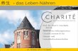 - das Leben Nähren Horst-Görtz-Stiftungsinstitut CharitéCentrum 01 für Human- und Gesundheitswissenschaften Prof. Dr. Paul U. Unschuld, M.P.H. Direktor.