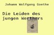 Johann Wolfgang Goethe Die Leiden des jungen Werthers.